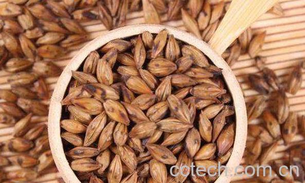 大麦茶的功效与作用 喝大麦茶的好处有哪些-0