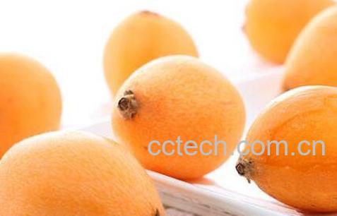 枇杷怎么吃 吃枇杷的禁忌有哪些-0