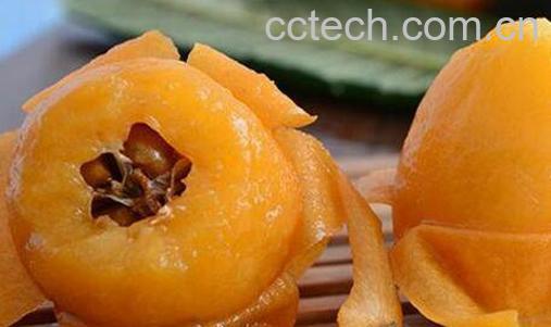 枇杷怎么吃 吃枇杷的禁忌有哪些-1