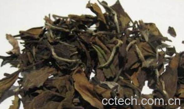 寿眉如何泡好喝 寿眉的泡法教程-1