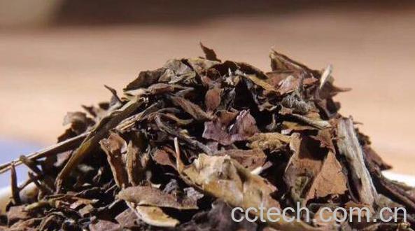 寿眉白茶的功效和作用 喝寿眉白茶的好处-0