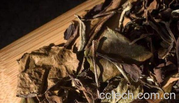 寿眉白茶的功效和作用 喝寿眉白茶的好处-1