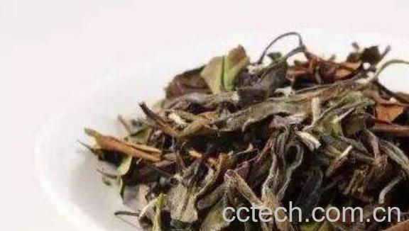 贡眉怎么喝 贡眉的正确泡法教程-1