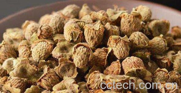 覆盆子茶什么时候喝 覆盆子茶怎么喝-0