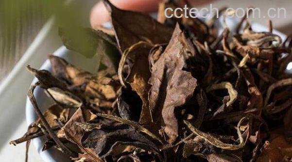 寿眉如何泡好喝 寿眉的泡法教程-0