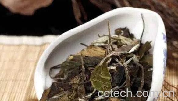 贡眉白茶的功效与作用-1