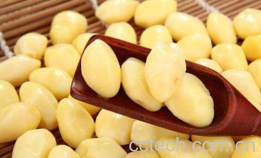 熟银杏仁的功效与作用-0