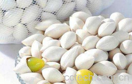 熟银杏仁的功效与作用-1