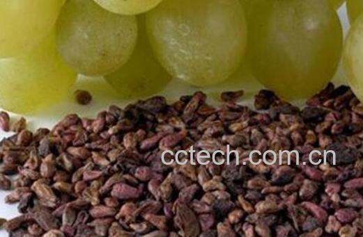 葡萄籽的功效与作用 葡萄籽的副作用-1