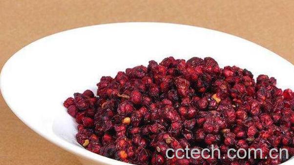 五味子茶的功效与作用 五味子茶的冲泡方法-1