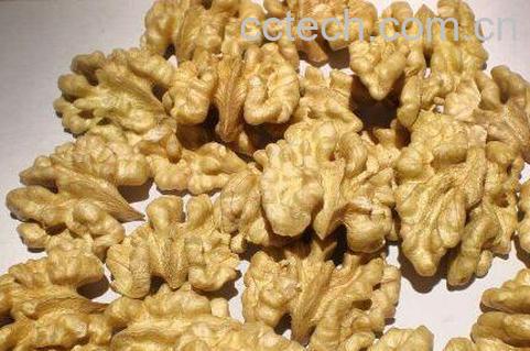 核桃仁的功效与作用及食用方法-1