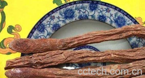 锁阳茶的危害 锁阳茶的副作用-1