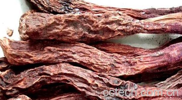 锁阳茶怎么泡 锁阳泡水喝的正确方法-1