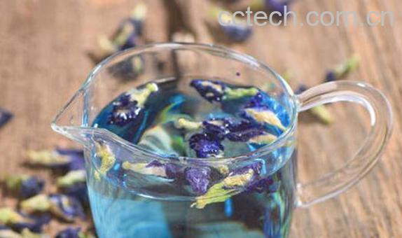 蝶豆花茶的功效与作用 蝶豆花泡茶的副作用-0