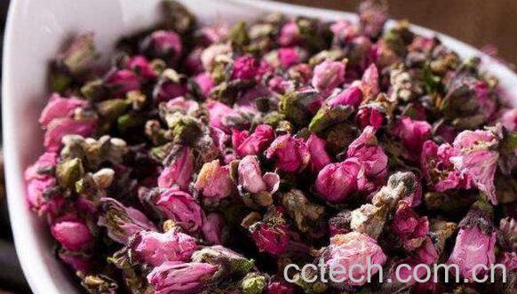 桃花茶的功效与作用 喝桃花茶的副作用-0