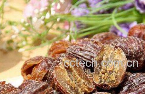 干蜜枣的功效与作用-1