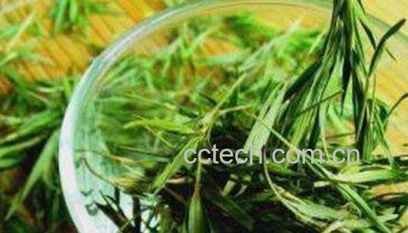 石竹茶的功效与作用 石竹茶的副作用-0