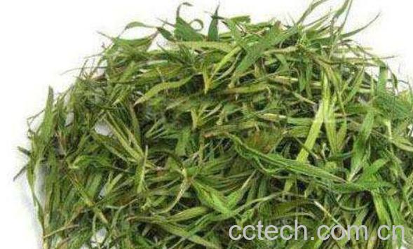 石竹茶的功效与作用 石竹茶的副作用-1