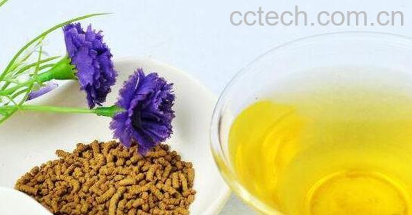 苦荞麦茶怎么泡 苦荞麦茶的功效与作用-1