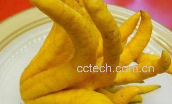 佛手柑茶的功效与作用-1