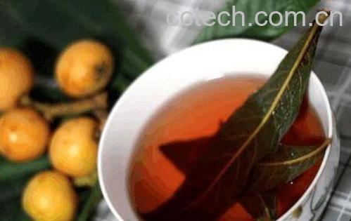 枇杷叶煮水的功效 喝了枇杷叶煮水的禁忌-1