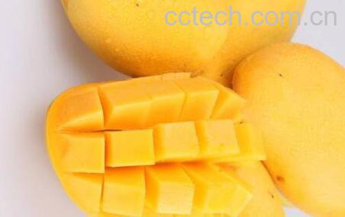 芒果不能和什么一起吃 芒果的搭配禁忌-0
