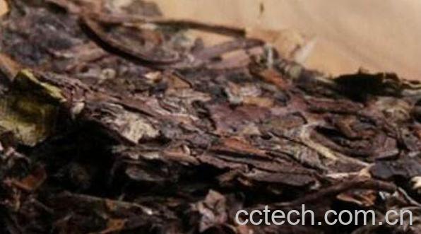 白茶饼怎么喝 白茶饼的泡法-0