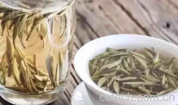福鼎白茶的功效与作用 喝福鼎白茶的好处-0