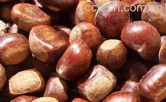 吃板栗有什么好处 板栗的功效与作用-0