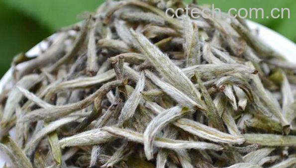 福鼎白茶饼怎么泡 福鼎白茶的泡法-0