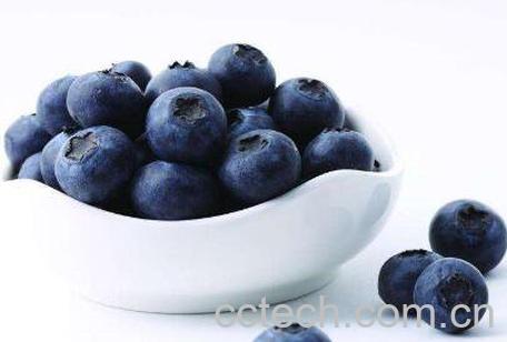 吃蓝莓的功效与作用-0