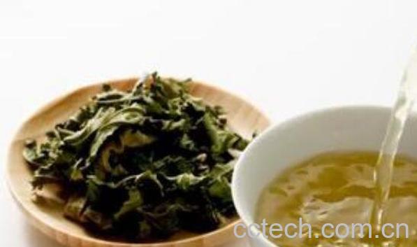  桑叶茶怎么泡 桑叶茶的制作方法-0