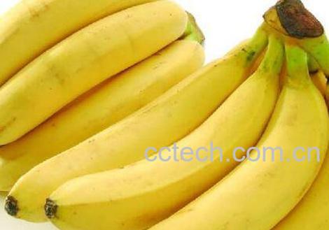 平时香蕉不能和什么一起吃-1