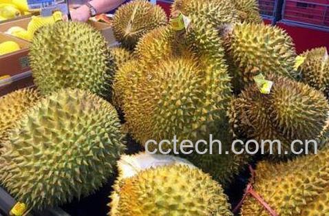 水果榴莲不能和什么一起吃-1