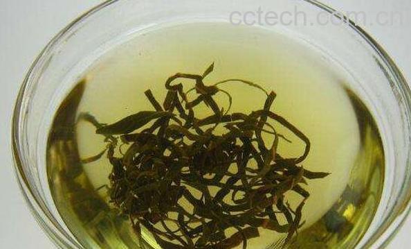 柿子叶茶的功效与作用及冲泡方法-0