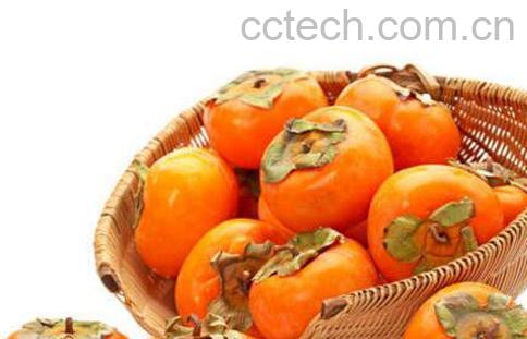 柿子不能和什么一起吃 吃柿子的禁忌-1