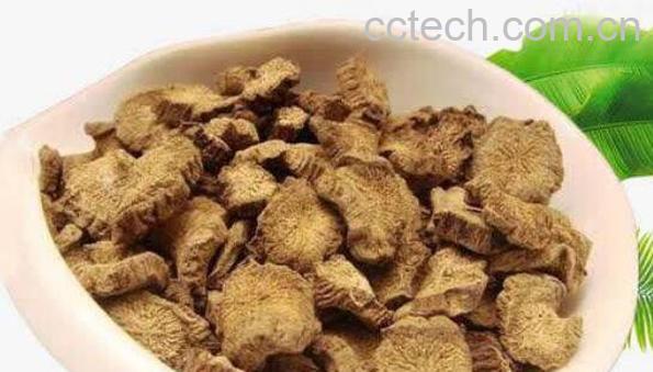 女人喝牛蒡茶的功效与副作用-1