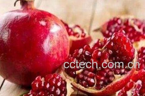 石榴的功效与作用及食用方法-0