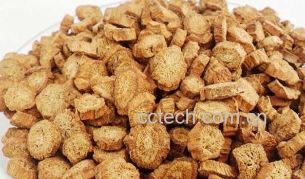 牛蒡茶的功效与作用有哪些 牛蒡茶对女人的作用-0