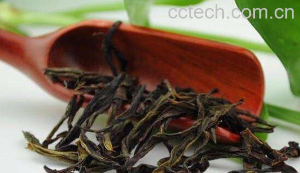 老枞水仙的功效与作用 老枞水仙属于什么茶-1