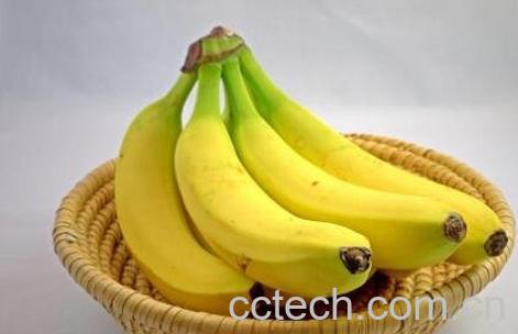 吃香蕉的功效与作用-0