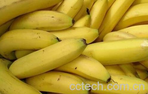 吃香蕉的功效与作用-1