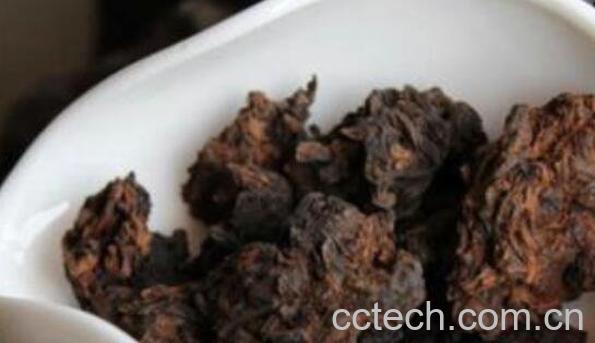 喝老茶头的好处和坏处-1