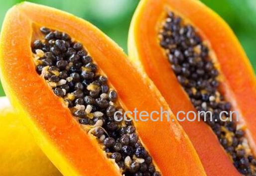 木瓜的功效与作用及食用禁忌-0