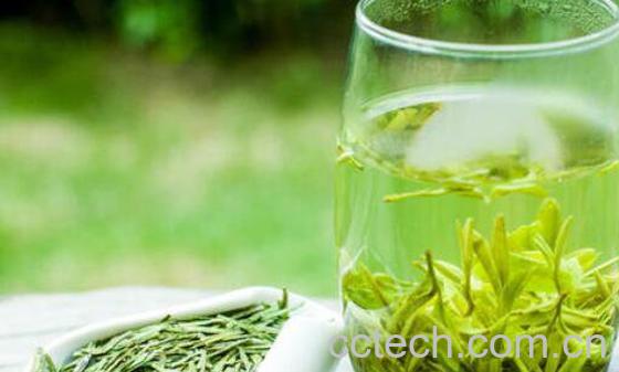 龙井茶怎么泡 龙井茶的泡法教程-1