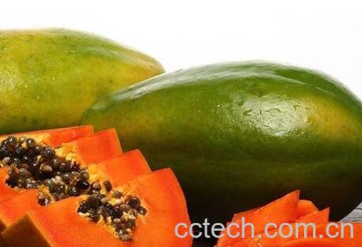 木瓜的功效与作用及食用禁忌-1