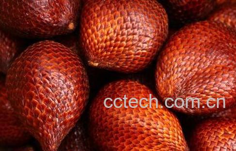 蛇皮果怎么吃 蛇皮果的吃法技巧-0