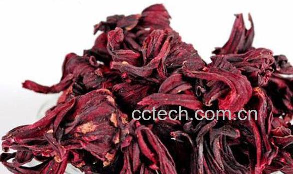 玫瑰茄泡水喝的功效 玫瑰茄泡水喝的禁忌-1