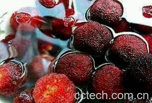 煮熟杨梅的功效与作用-1