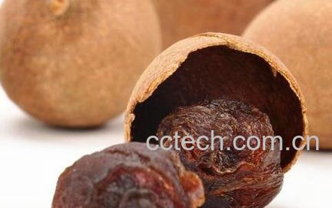 桂圆干怎么吃 桂圆干的吃法技巧-0